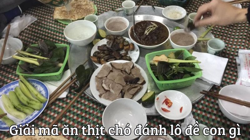 Giải mã các giấc mơ ăn thịt chó đánh lô đề con gì 